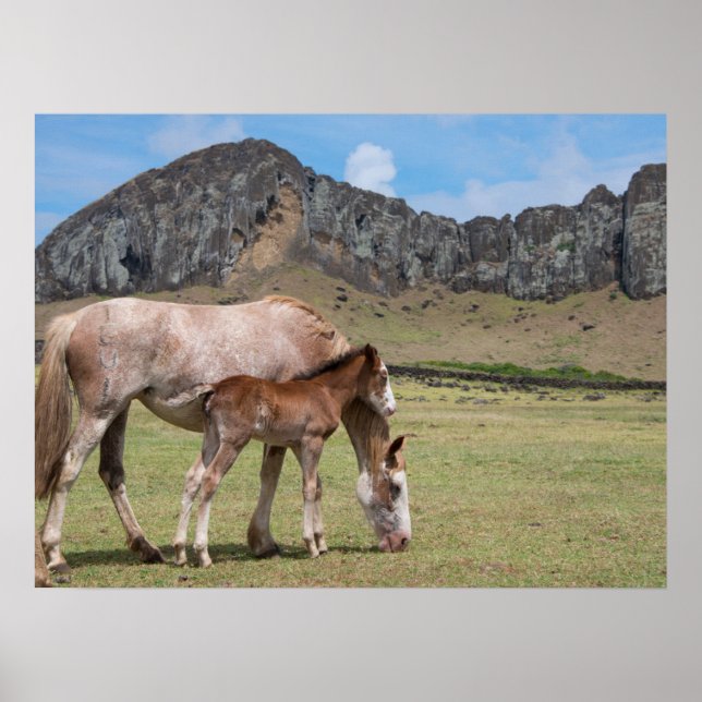 Mare & Colt at Volcanic Crater of Rano Raraku Poster (Front)