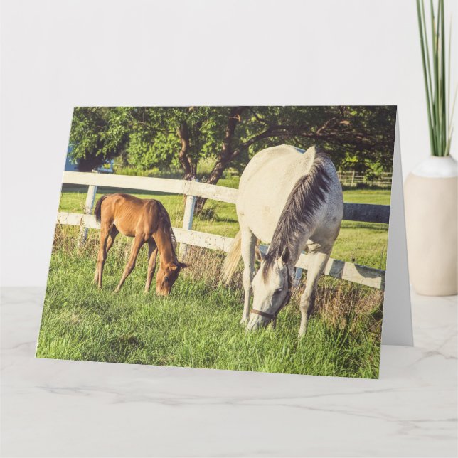 Mare & Foal Horses Big Greeting Card (Front)