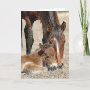 Mare With Colt Card