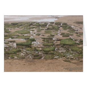 Marée basse 2