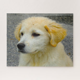 Maremma Sheepdog. Jigsaw Puzzle