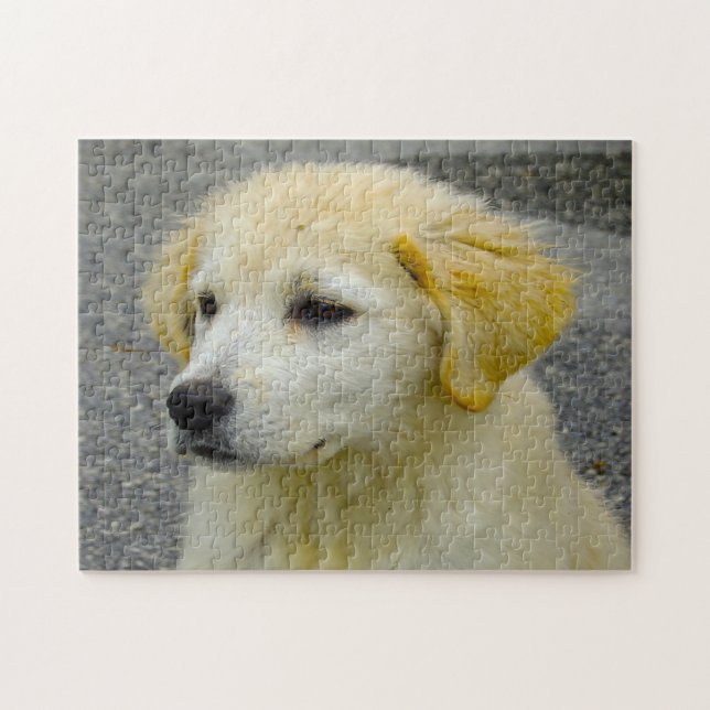 Maremma Sheepdog. Jigsaw Puzzle (Horizontal)