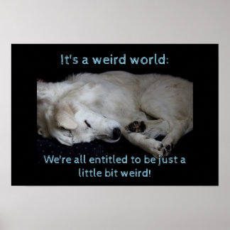 Maremma sheepdog weird world poster