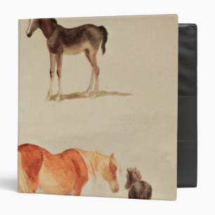 Mares and foals binder