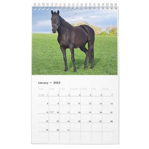 Mares and Foals Calendar 