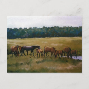 Mares et Foies Carte postale Art original