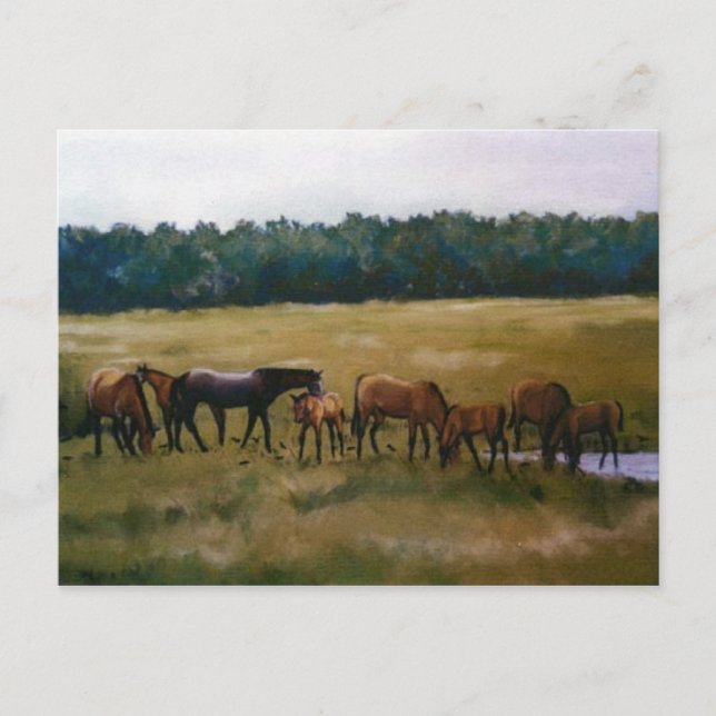 Mares et Foies Carte postale Art original (Devant)