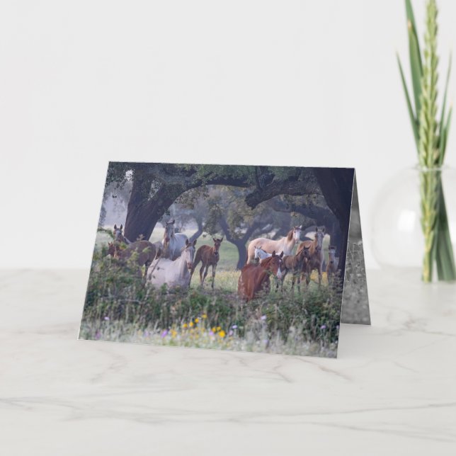 Mares et poulains dans les fleurs - Carte de voeux (Devant)