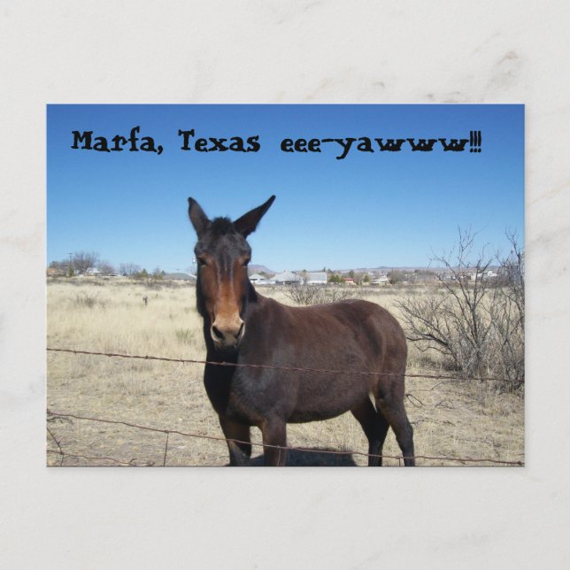 Marfa, Texas, eee-yawww!!! Postcard (Front)
