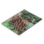 Margay, Leopardus wiedi, Native to Mexico into Notebook (Left Side)