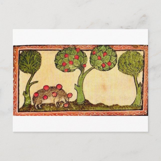 Marginalia Hedgehog Postcard (Front)