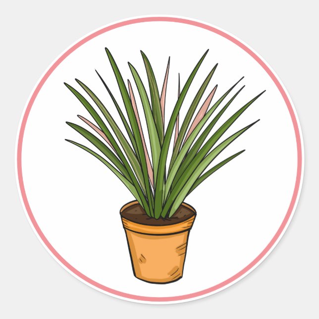 Marginata Hand Drawn Houseplant Art   Classic Round Sticker (Front)