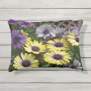 Marguerite africaine jaune et violet Coussin extér