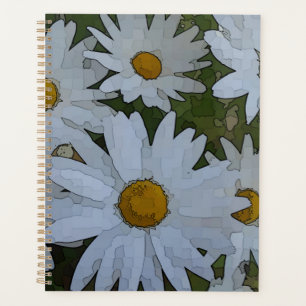 Marguerite blanche