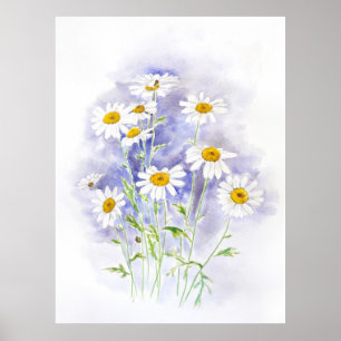Marguerite daisy hand painted watercolor  poster