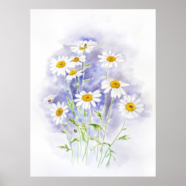 Marguerite daisy hand painted watercolor  poster (Front)