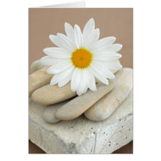 Marguerite et pierres