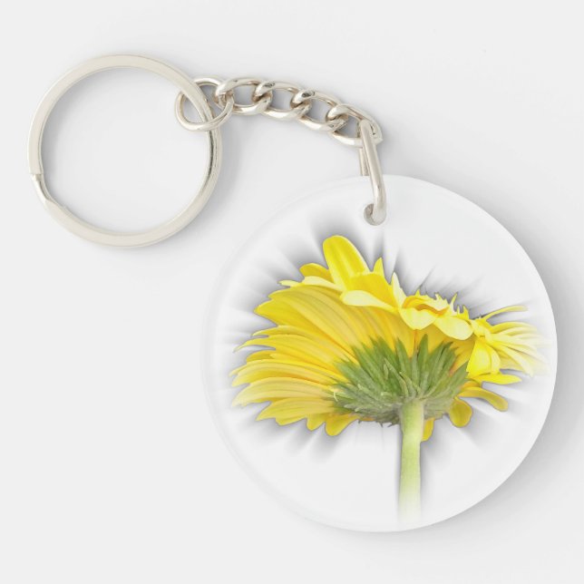 marguerite jaune (Devant)