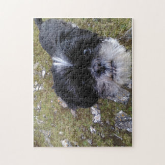 Marguerite le puzzle de tzu de shih pour des