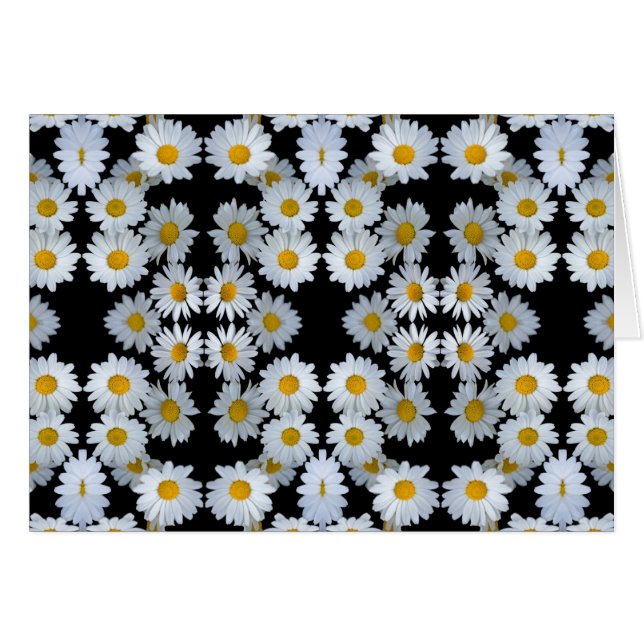 marguerite noire des années 90 (Devant horizontal)
