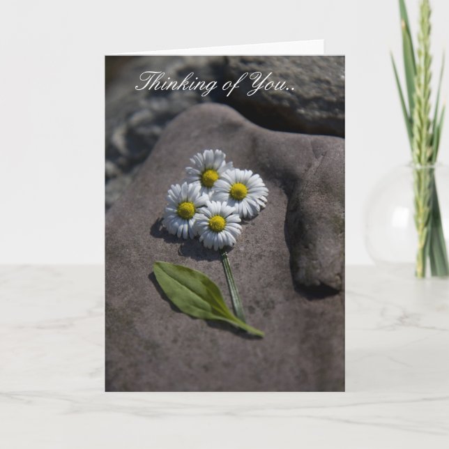 "Marguerite" pensant à vous. Carte (Devant)