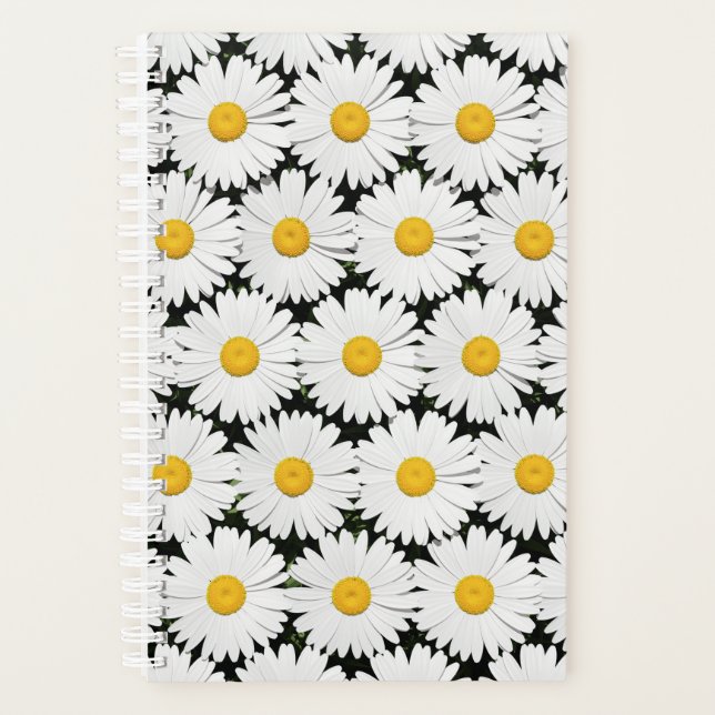 Marguerites (Devant)