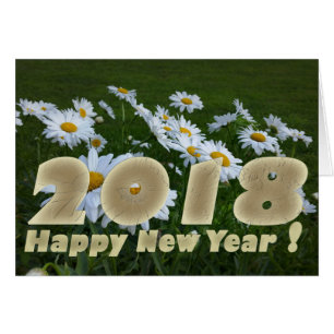 Marguerites blanches 2018