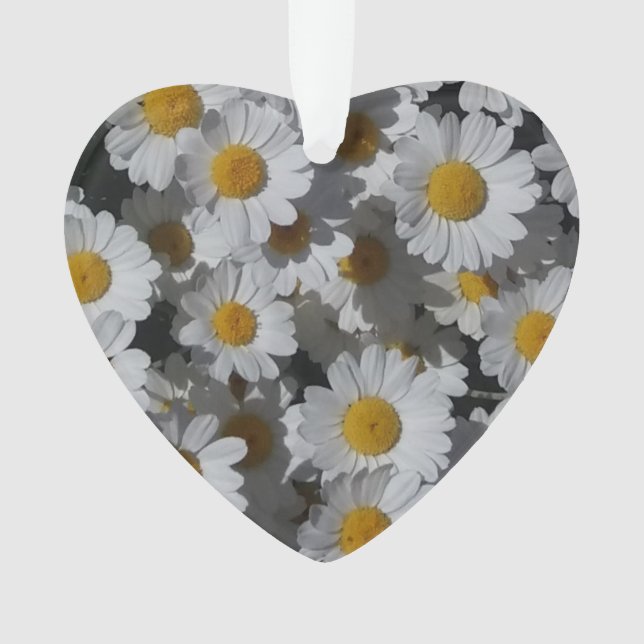 Marguerites blanches acryliques (devant)