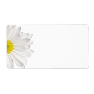 Marguerites customisées par arrière - plan de
