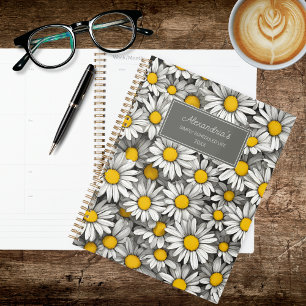 Marguerites de campagne