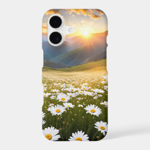 Marguerites de la vallée montagneuse