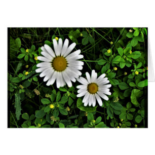 Marguerites gaies de mère et d'enfant