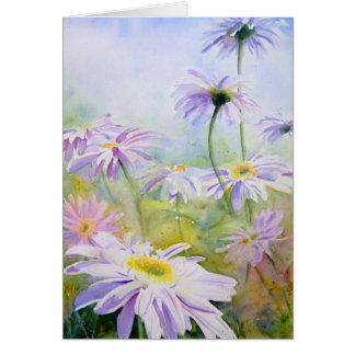 Marguerites géantes