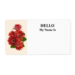 Marguerites Gerbera Rouges