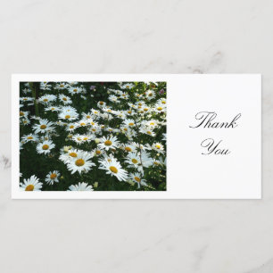 Marguerites II - Merci