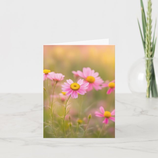 Marguerites Roses Dans Les Prairies (Devant)