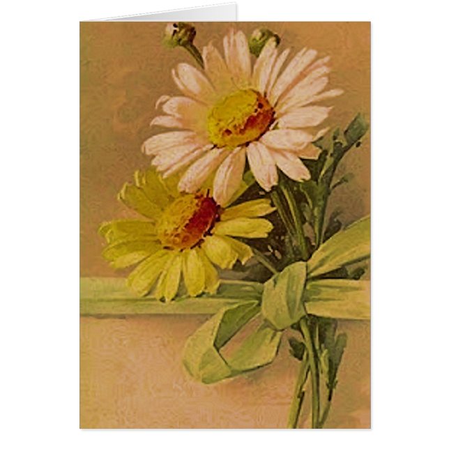 Marguerites victoriennes d'été (Devant)