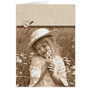 Marguerites vintages
