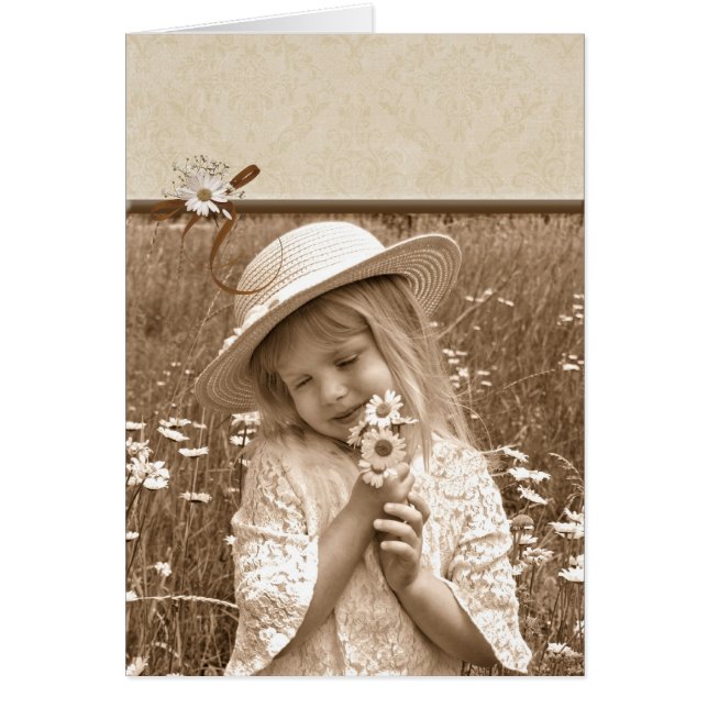 Marguerites vintages (Devant)