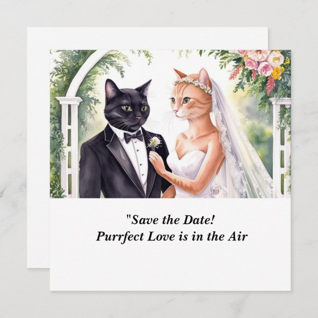 MARIAGE DE CHAT Invitation "Sauver la date" (Devant / Derrière)