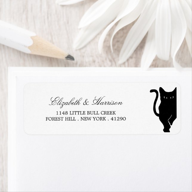 Mariage de chat noir Whimsical moderne (En situation)