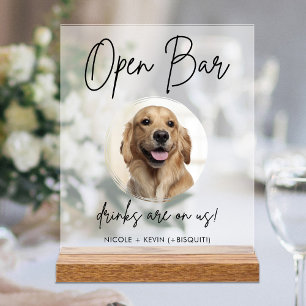 Mariage de chien de compagnie Boissons de bar ouve