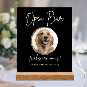 Mariage de chien domestique Boissons de bar ouvert