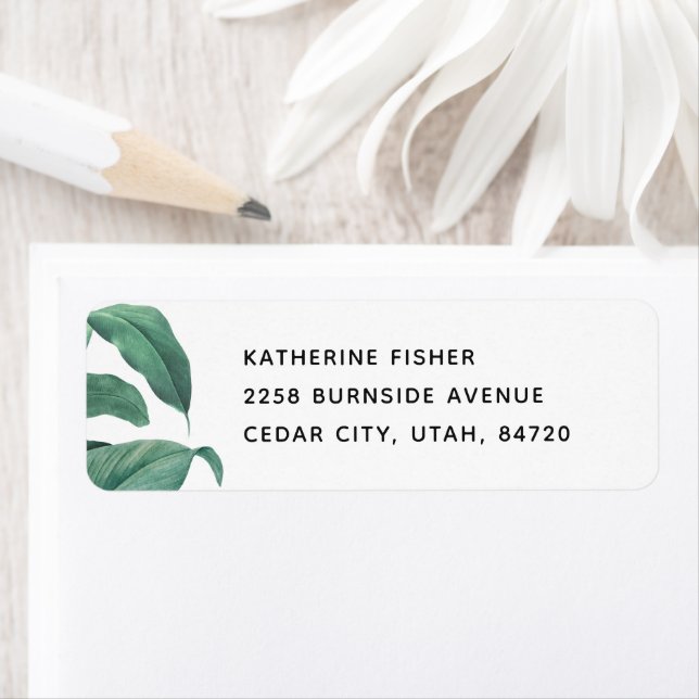 Mariage de verdure tropicale. Feuilles verts botan (En situation)