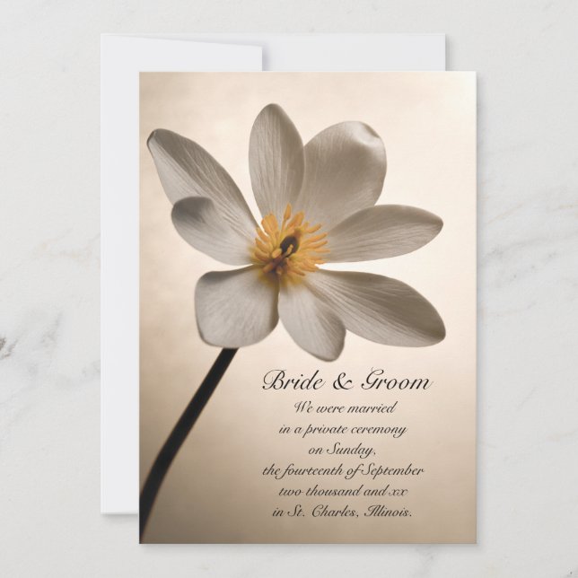 Mariage Fleur sauvage blanc / Faire-part d'Elopeme (Devant)