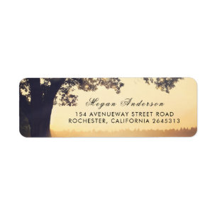Mariage rustique d'été d'arbre