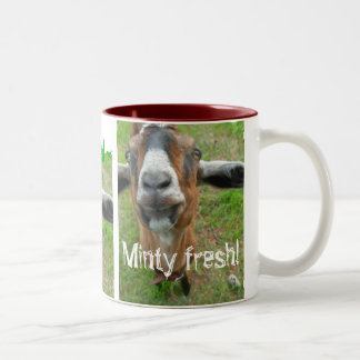 Mariah la chèvre - tasse fraîche de menthe