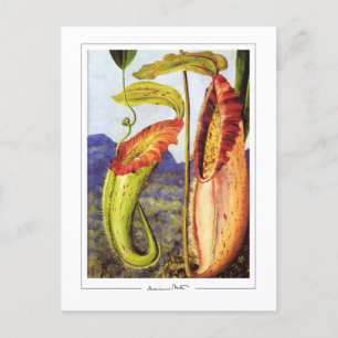 Marianne North #1 - Fine Art Postcard