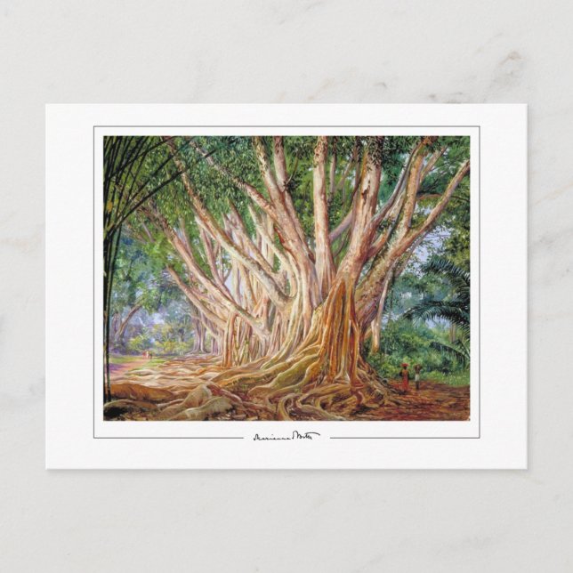 Marianne North #5 - Carte postale Art (Devant)