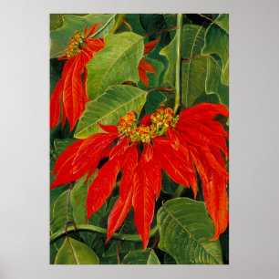 Marianne North - Exotic Landscape Poster